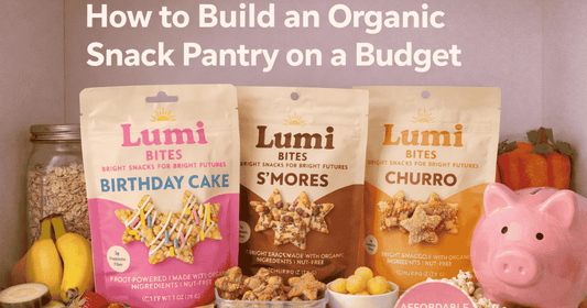 Organic snack pantry shelf featuring Lumi Bites Birthday Cake, S’mores, and Churro snack bags alongside oats, fruit, popcorn, and a piggy bank to represent affordable organic snacks for kids.