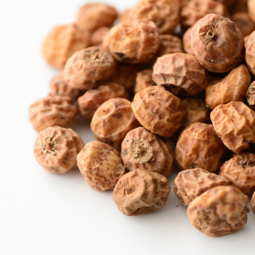Tiger nuts icon