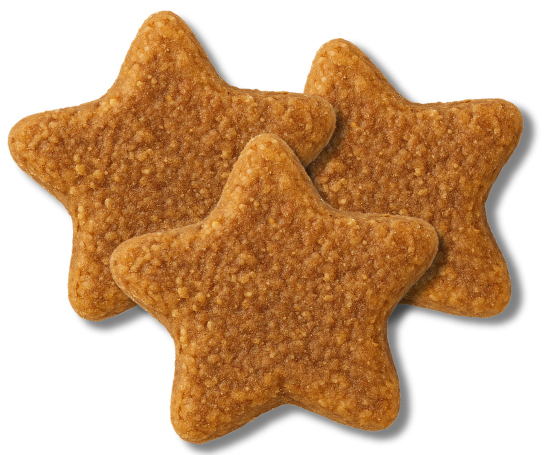 Churro bites